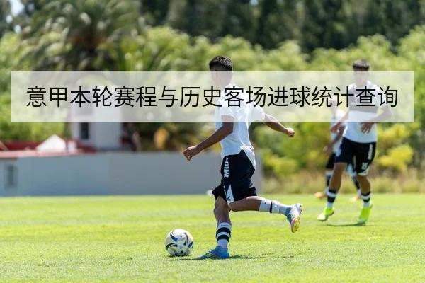 意甲本轮赛程与历史客场进球统计查询 - 6686app